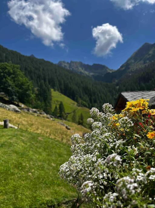 Una Piccola Bomboniera Gaby Buitenkant foto